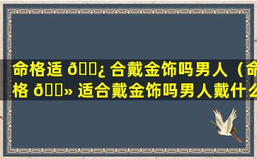 命格适 🌿 合戴金饰吗男人（命格 🌻 适合戴金饰吗男人戴什么好）